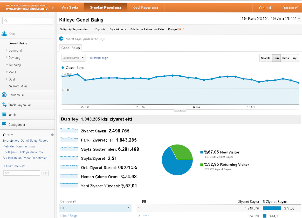 Google Analytics Trafik Verisi