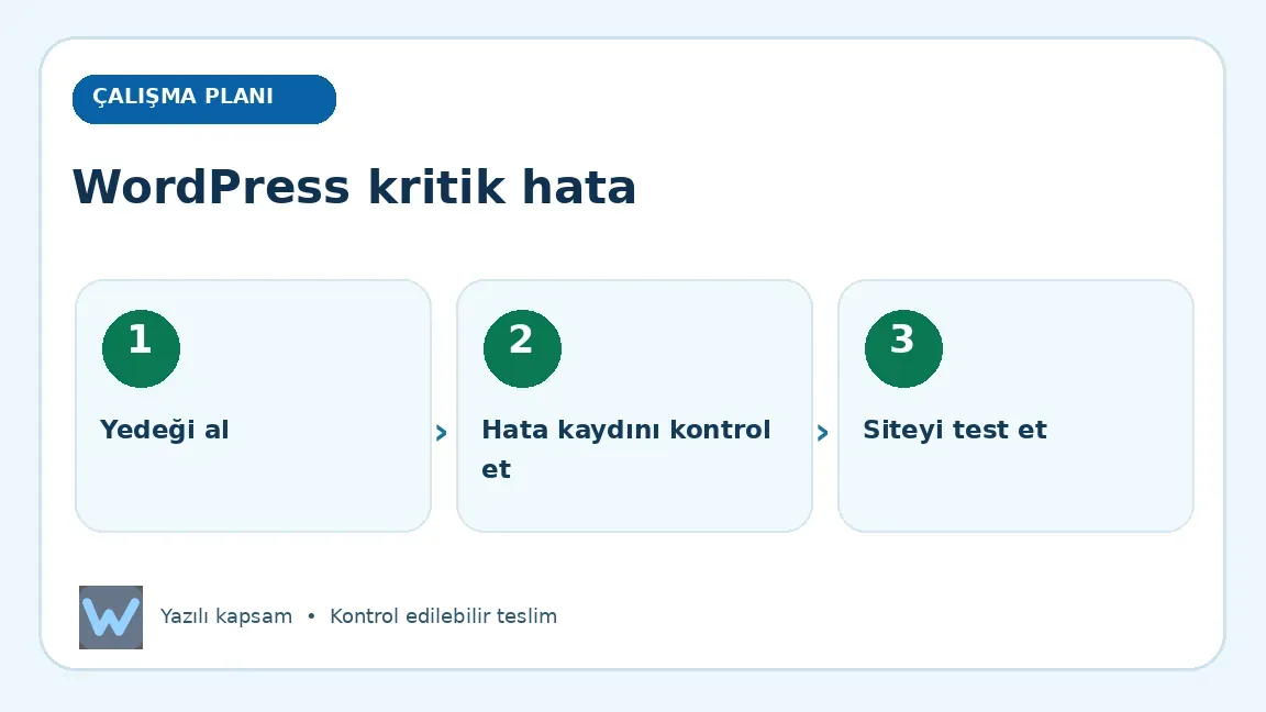 WordPress kritik hata: Yedeği al, Hata kaydını kontrol et, Siteyi test et aşamalarını açıklayan görsel